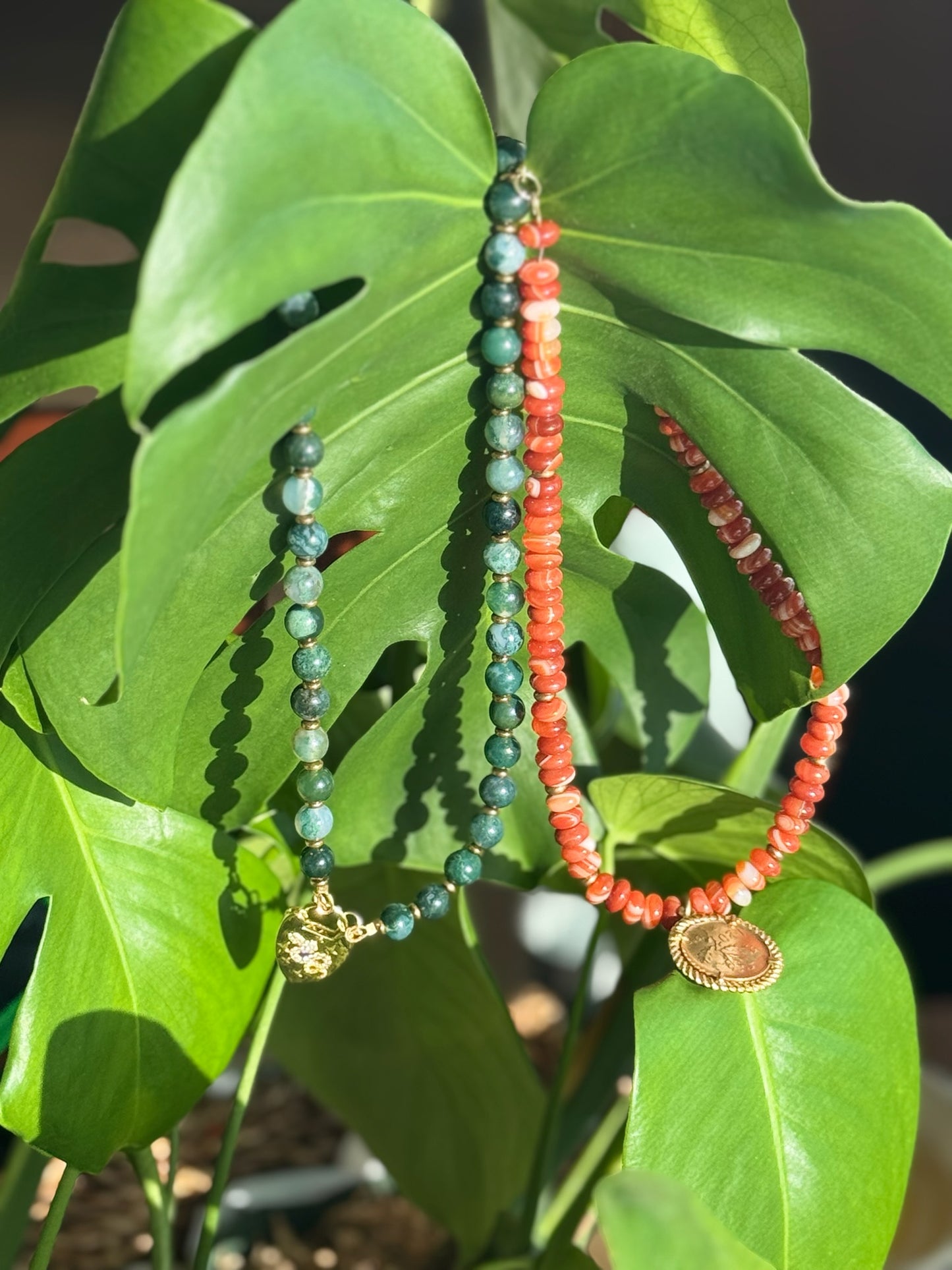 Garden Snake