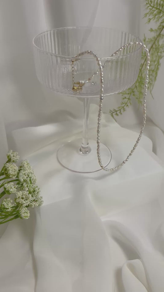 Champagne Dreams